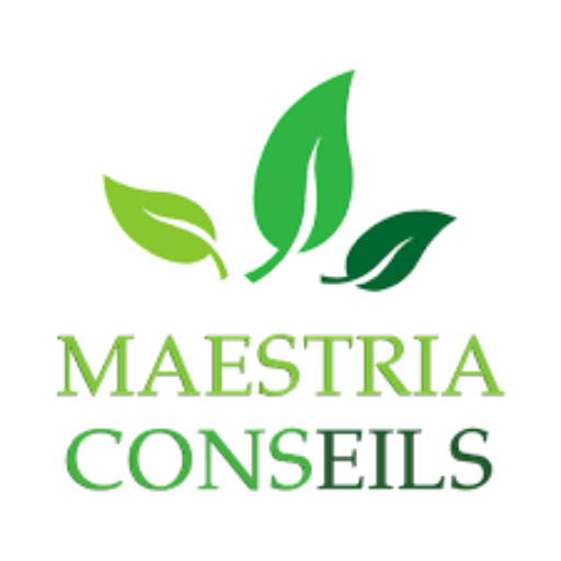 MAESTRIA CONSEILS