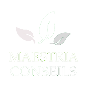 MAESTRIA CONSEILS